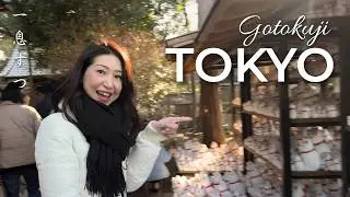 Living Abroad in Tokyo | Gotokuji, Nihonbashi & Emma-san | 2026 Jan Wk 3 | Vlog #582
