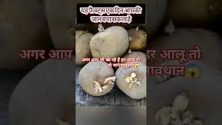 #amazingfacts #knowledge #factsinhindi #science #life #facts #trending #factsmine