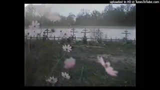 redda x jvcxb x horrortraum type beat screamer