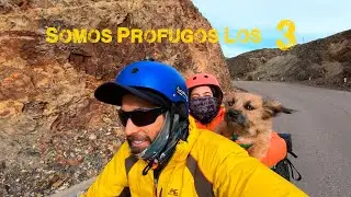 Ruta en Moto a los Baños Termales de Lares Cusco con Molly la Perrita Viajera