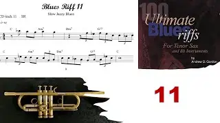 🎺🎺 100 Ultimate Blues Riffs (Bb) by Andrew D.Gordon 011 - Sax, Trumpet, and Play-along (Funky Blues)