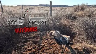 Hoosier Trapper Outdoors - S.14 Ep.8 - Еще один день на траплайне!
