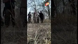 2 Cheetahs released into open forest in Kuno National Park