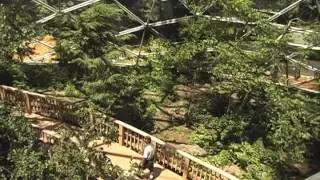 It's My Park: Queens Zoo Aviary (1964 World's Fair)