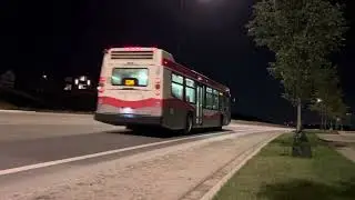 Calgary Transit 2010 Nova LFS #8116 in Rockland Park (Route 134)
