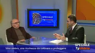 Speciale Tg Umbria 03 - Il vino umbro una ricchezza da coltivare e proteggere - Massimo Sepiacci
