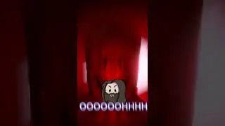 Getting Scared - Inside the Backrooms #funnymoments #gaming