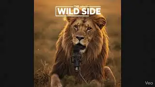 King Leo&rsquo;s Wild Classroom