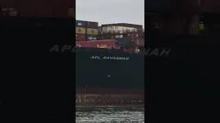 🇸🇬APL SAVANNAH🇸🇬 OMG 😱😱😱