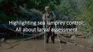 For Educators - Video 14 - All About Larval Assessment