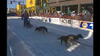 Alaska Winter Adventure- Fur Rondy Festival Part 1