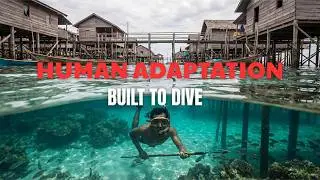 They Dive for Hours Without Oxygen | Inside the Bajau Sea Nomads