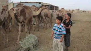 Jabali (Jebali) Peoples of Oman