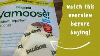 BugMD Vamoose Plus Review: Powerful Peppermint Rodent Repellent!