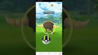 Pokemon go: I caught wild Bouffalant🥳🥳🤠