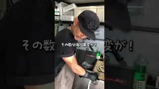 皆さん、ハブには本当に気を付けてくださいね！ #ハブ #ヘビ #沖縄 #危険生物 #yuifactory