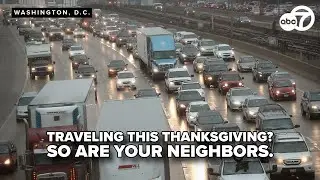 Holiday road trips surge as Americans opt for driving over flights post shutdown havoc