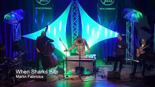 When Shark Bites  - Martin Fabricius Group Live - vibraphone, harmonica, guitar, bass and drums