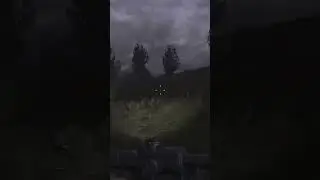 ✅ Встреча с самым быстрым мутантов в Сталкер (Stalker FM)