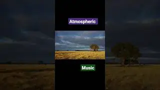 #jollroy #ambient #choir #church #nature #atmosphere #dream