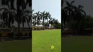 ALCHEMY SCHOOL, SURAT