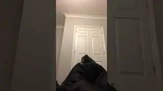 *FACECAM REVEAL*
