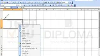 Aplly the following allignment-orientation in the active worksheet :  Cell Α1: rotation by 45...