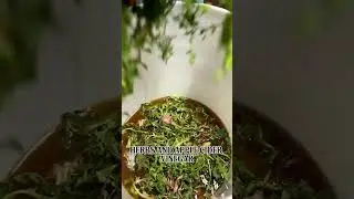 You Don't Know Potent Until You Try This Spring Oxymel