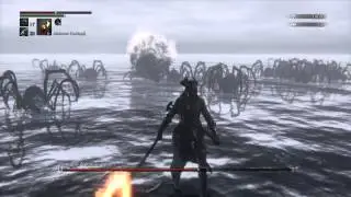 BLOODBORNE - ROM, The Vacous Spider - FIRST TRY