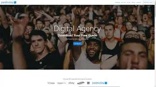 Digital Agency website template - PaidToday 2021