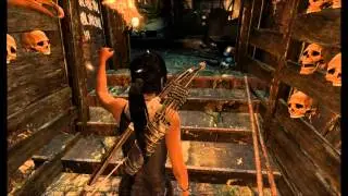 Tomb Raider | AMD E-350 | HD 6310 | [HD+ 1152p]