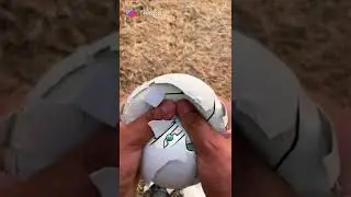 Cracking Egg Of Z Alphabet lore