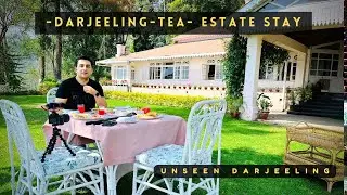 Darjeeling Tea Estate Stay Experience | Hidden Paradise in the Hills! #Darjeeling #TeaEstateStay