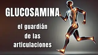Glucosamina: el Guardián de las Articulaciones