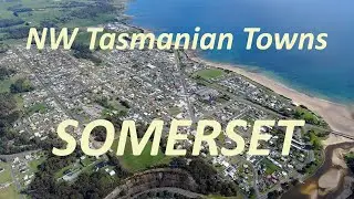 Wandering Foxbat - SOMERSET, NW Tasmania