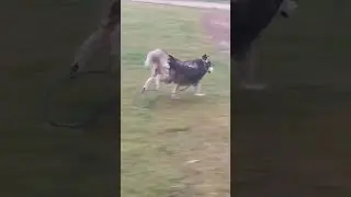 Advanced speed before then
