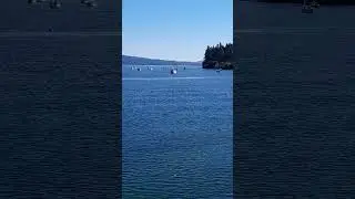 Mill Creek Marina