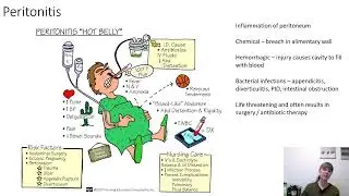 The Digestive System Part 1 of 3