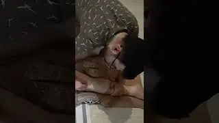 ASMR TURKISH SLEEP MASTER MASSAGE  #massage #easyturkish #relax #chiropractor #relaxing #challenge