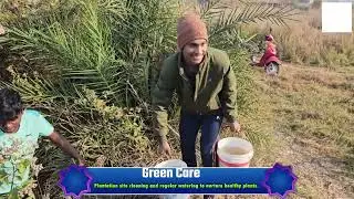 Green Care Plantation  Site Cleaning & Regular Watering for Healthy PlantsAt Green Care Plantation,