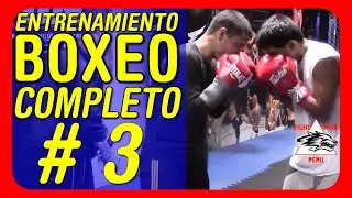 🥊 Entrenamiento de boxeo Completo 🏆 clase de Boxeo #3 💪 Gimnasio de Boxeo 👍
