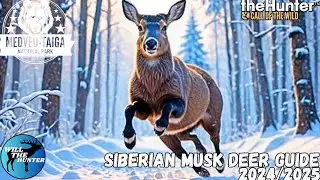 Medved Taiga Siberian Musk Deer Guide | TheHunter Call Of The Wild 24/25