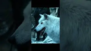 Sam Tarly Saves Gilly from Ghost |GOT| #gameofthrones #viralvideo #samwelltarly