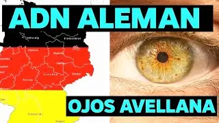 El ADN Alem&aacute;n y La Evoluci&oacute;n De Los Ojos Color Avellana