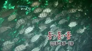 [어영차바다야-제철수산] 감성.참.돌돔