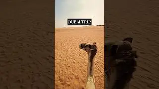 Dubai Desert View #dubai #travelshorts #dubaidesert #dubailife #dubaimall #burjkhalifa #explorepage