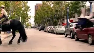 What a Funny Video--- Must Watch Funny Horse riding