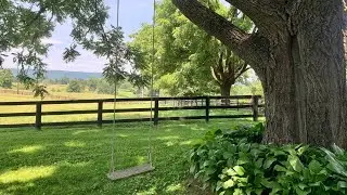 Metal Detecting Colonial Relics in Northern Virginia
