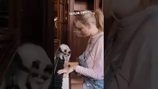 Тейлор Свифт держит своего кота как младенца 😂 #шорты #тейлорсвифт
