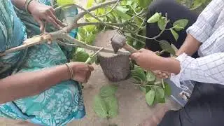 అందరి కష్టాలే హరిత భారతం.